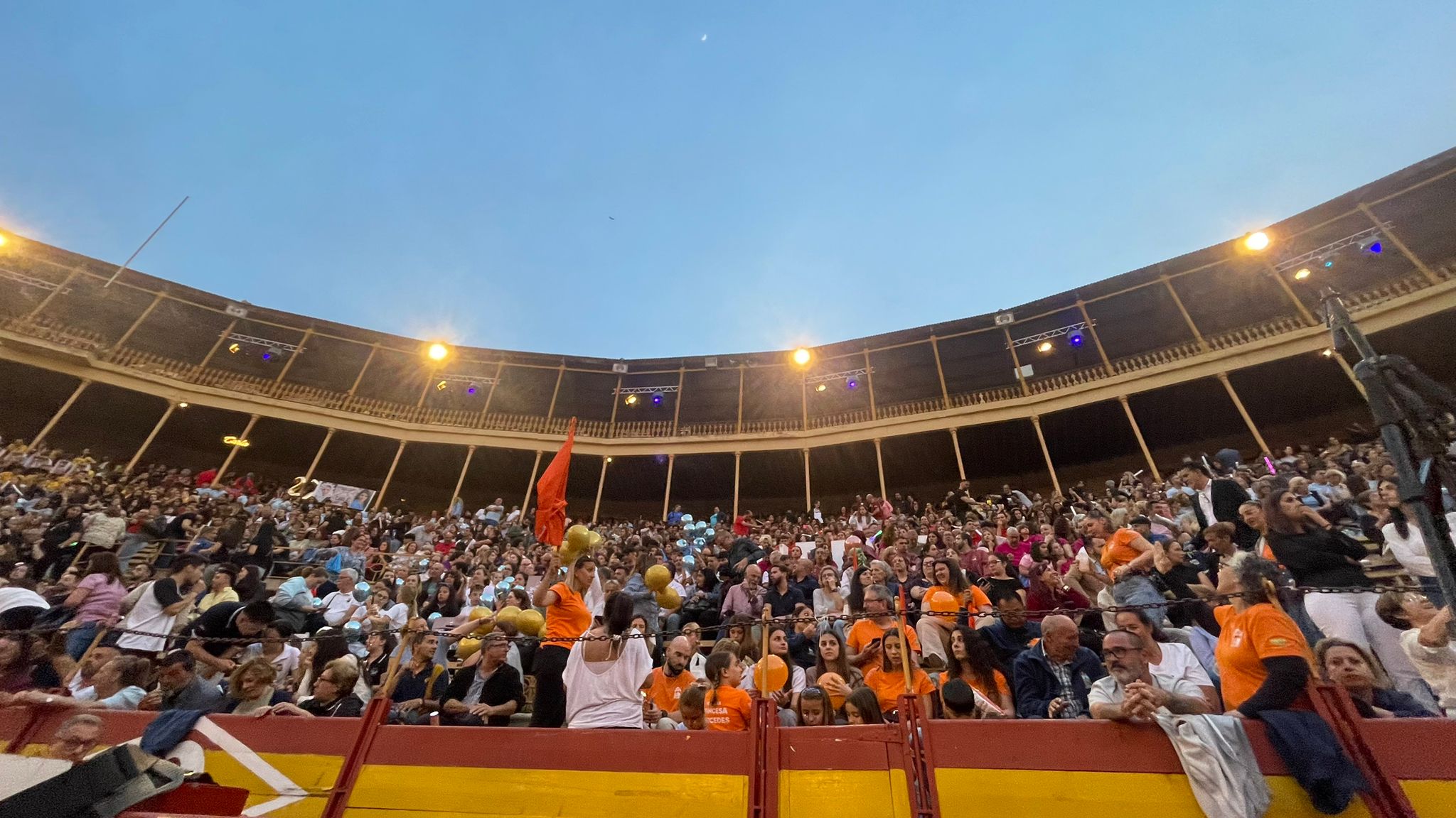 La elección de la bellea del foc de Alicante, foto a foto