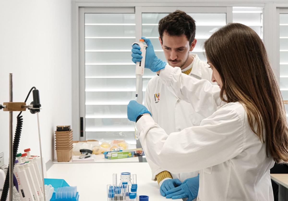 Los fundadores de una startup ilicitana, únicos españoles galardonados en el Premio Jóvenes Inventores 2025