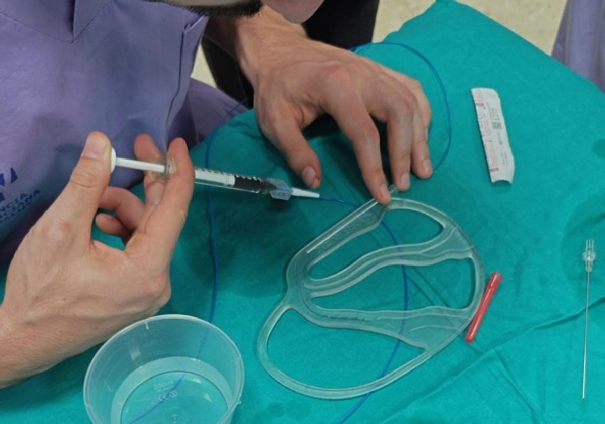 El modelo ha sido fabricado mediante impresión 3D.