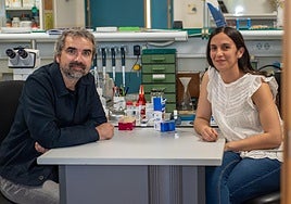 Los investigadores Javier Morante y Marta Neto en su laboratorio del Instituto de Neurociencias CSIC-UMH.