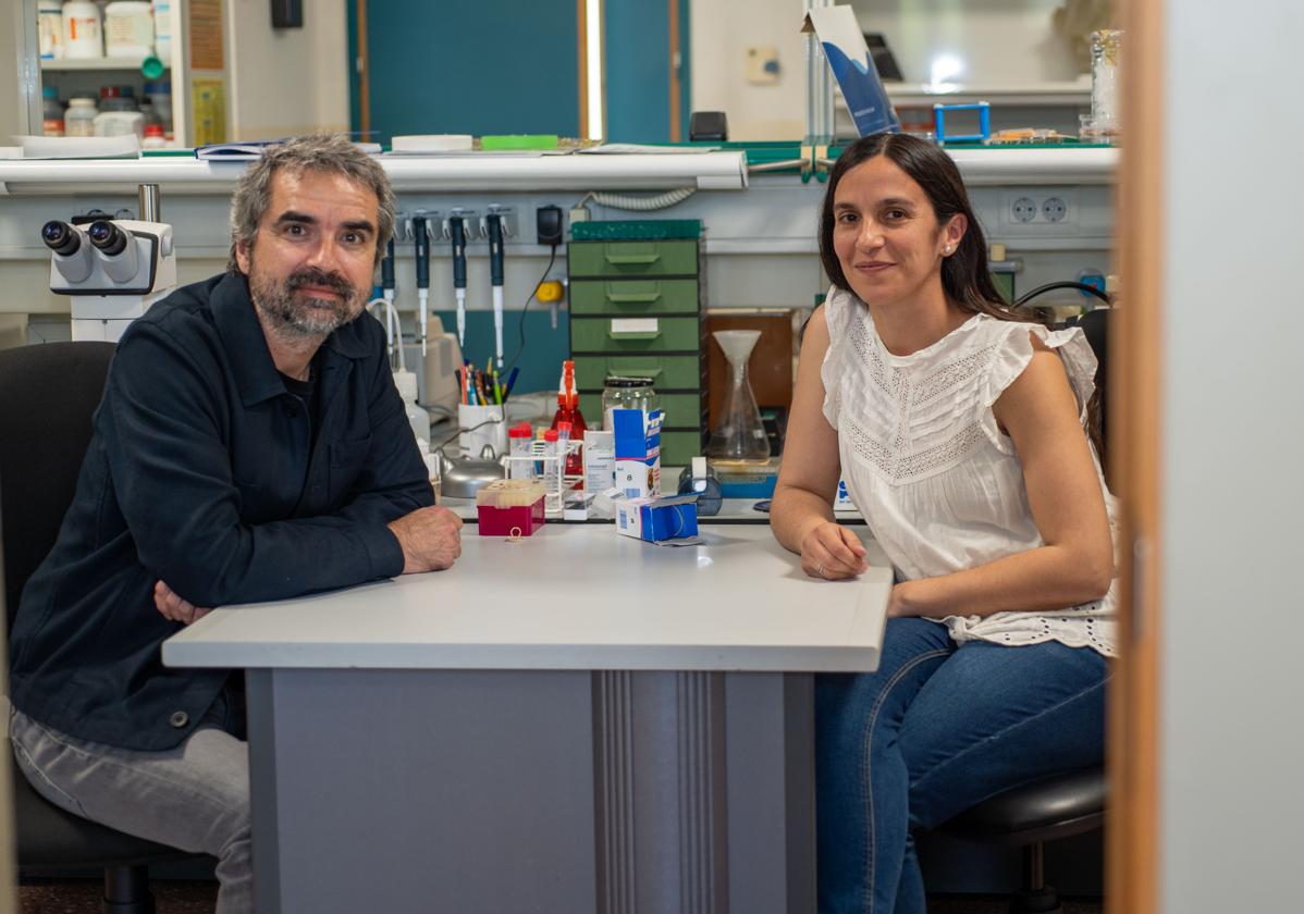 Neurociencias UMH trabaja para predecir el riesgo de sufrir el trastorno reproductivo más común en mujeres