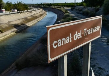 The costs of the Tajo-Segura cut in the province of Alicante: 1,700 jobs and 61 million in losses