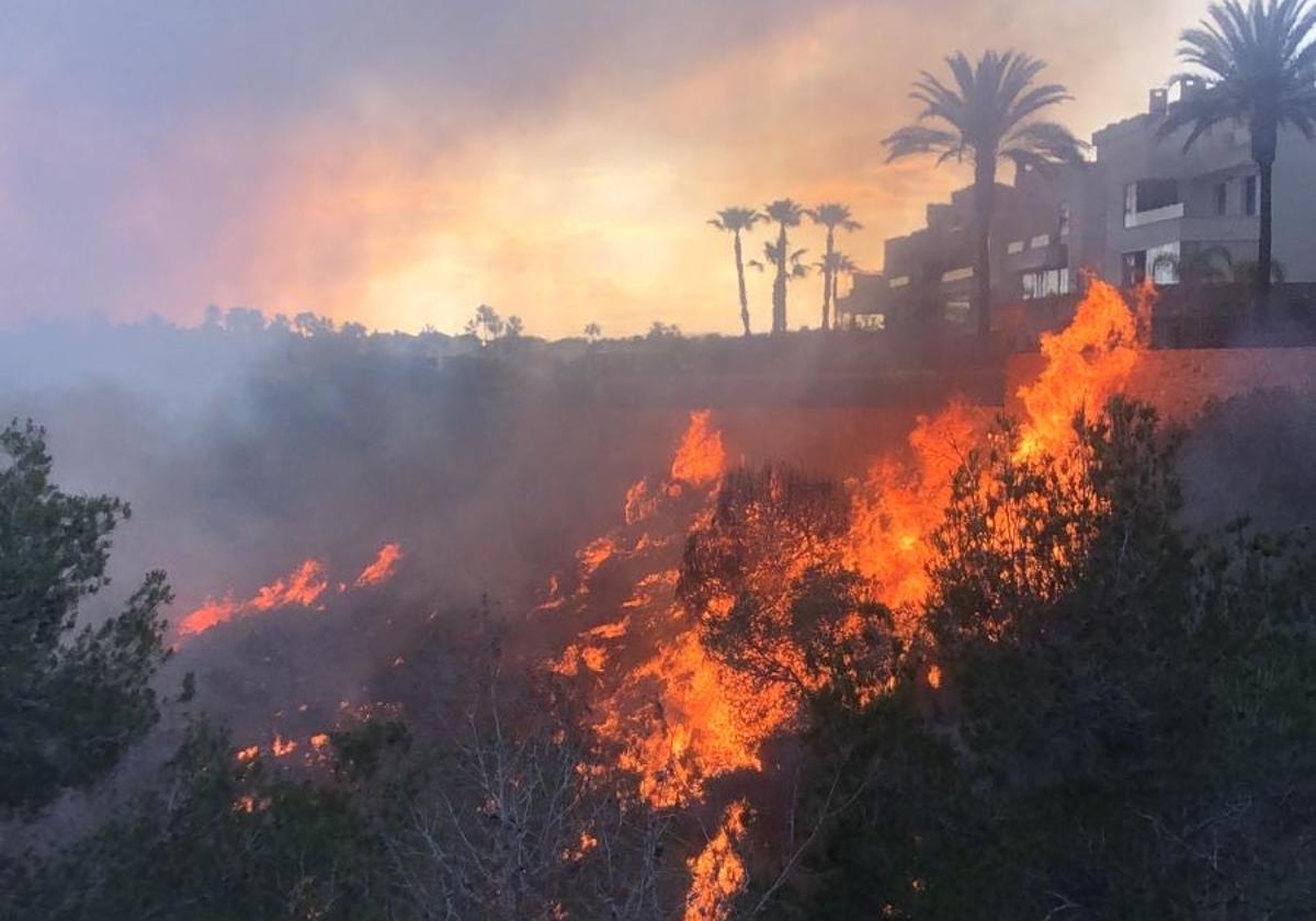 Los bomberos dan por extinguido el incendio de Orihuela Costa que obligó a desalojar a medio centenar de vecinos