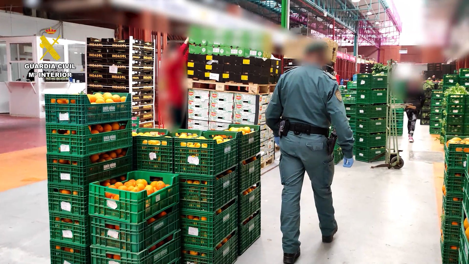 The Civil Guard, during a routine inspection at an Alicante company, unrelated to the reported case.