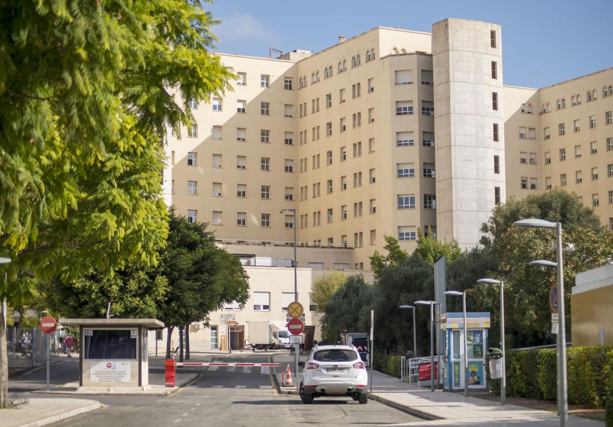 Imagen principal - El Hospital de Alicante se postula para implantar un cribado piloto de cáncer de pulmón