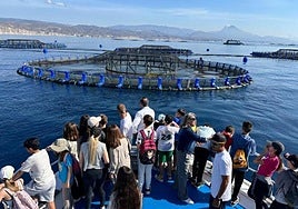 Escolares de El Campello visitan una piscifactoría.