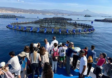 Aquaculture as a school subject in El Campello