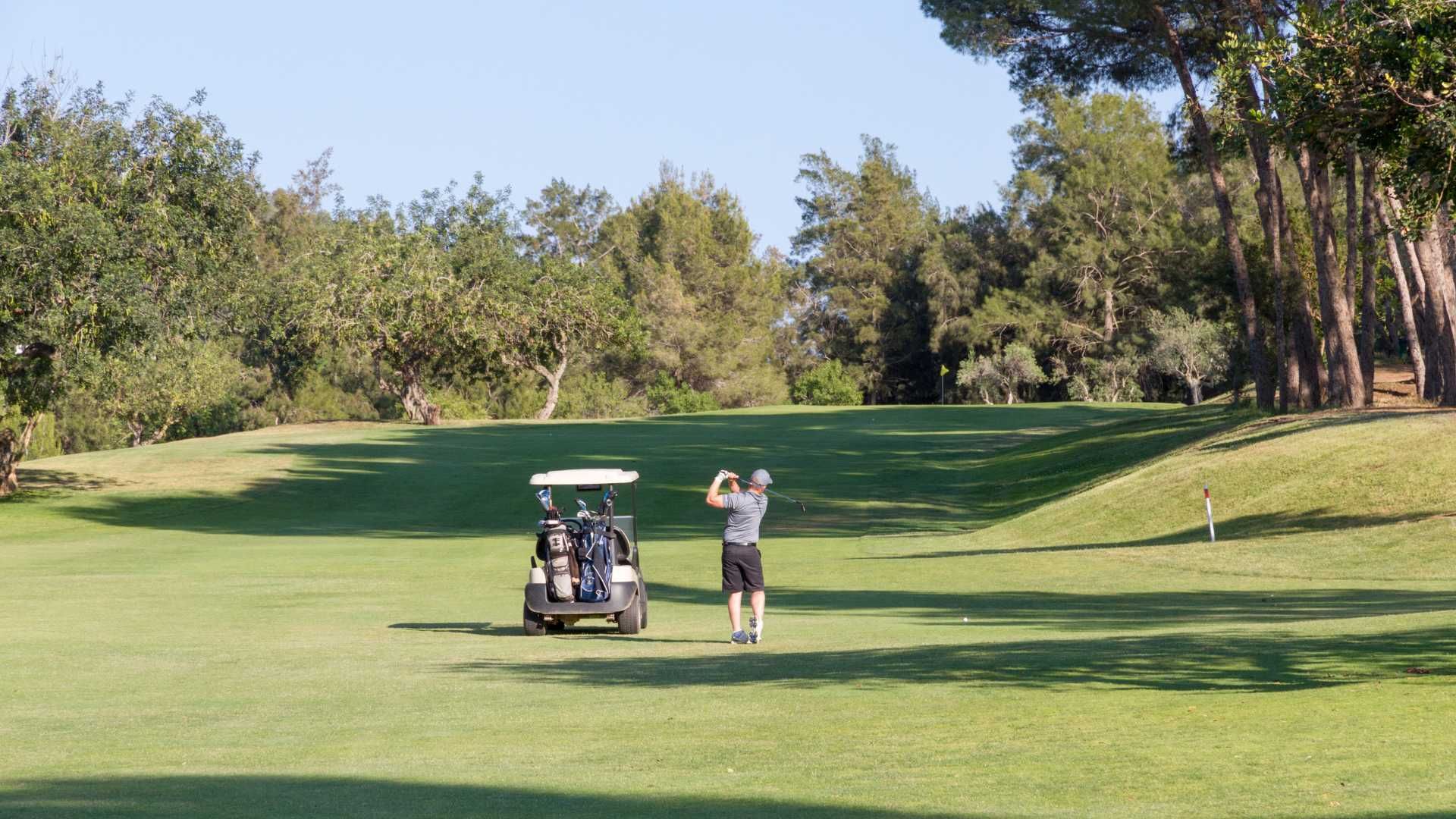 Archive image of a golfer.
