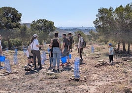 Voluntarios reforestando el Monte Orgegia.