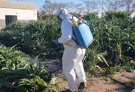 Un agricultor fumigando una plantación.