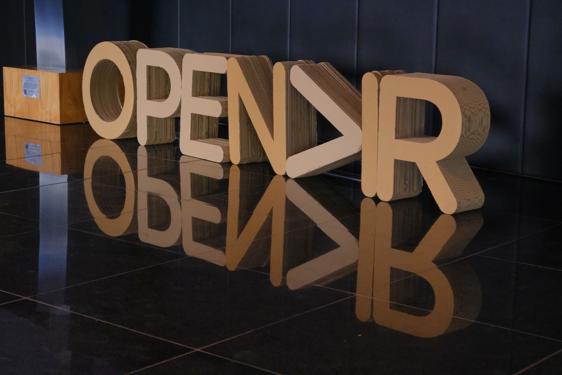 La cuarta edición de Opendir, en imágenes