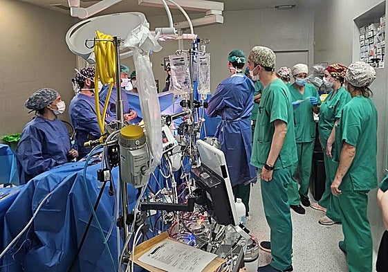 Imagen del primer explante de corazón en asistolia controlada en el Hospital de Dénia