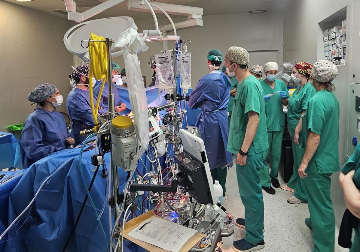 Imagen del primer explante de corazón en asistolia controlada en el Hospital de Dénia