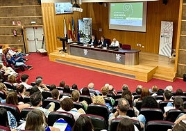 Jornadas sobre Salud Mental celebradas este miércoles en el Hospital General de Alicante.