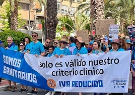 Cabeza de la manifestación de veterinarios, este domingo, por Alicante.