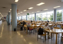 Estudiantes en la biblioteca general del Campus de la UA.