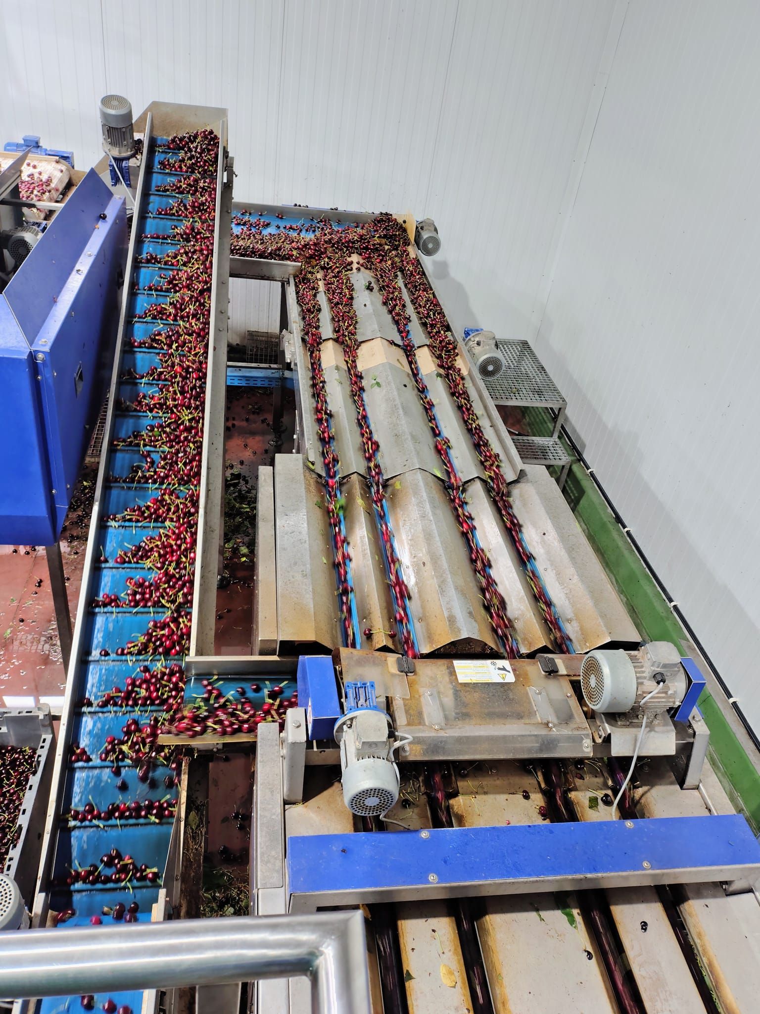 Cherry factory.