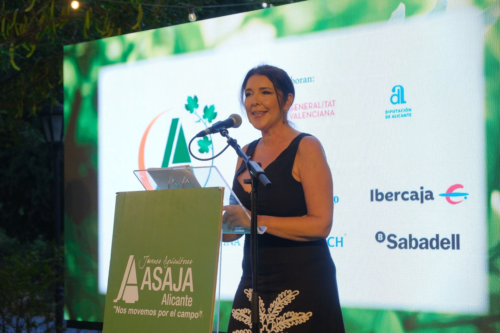 Las mejores imágenes de la Noche de la Agricultura Alicantina