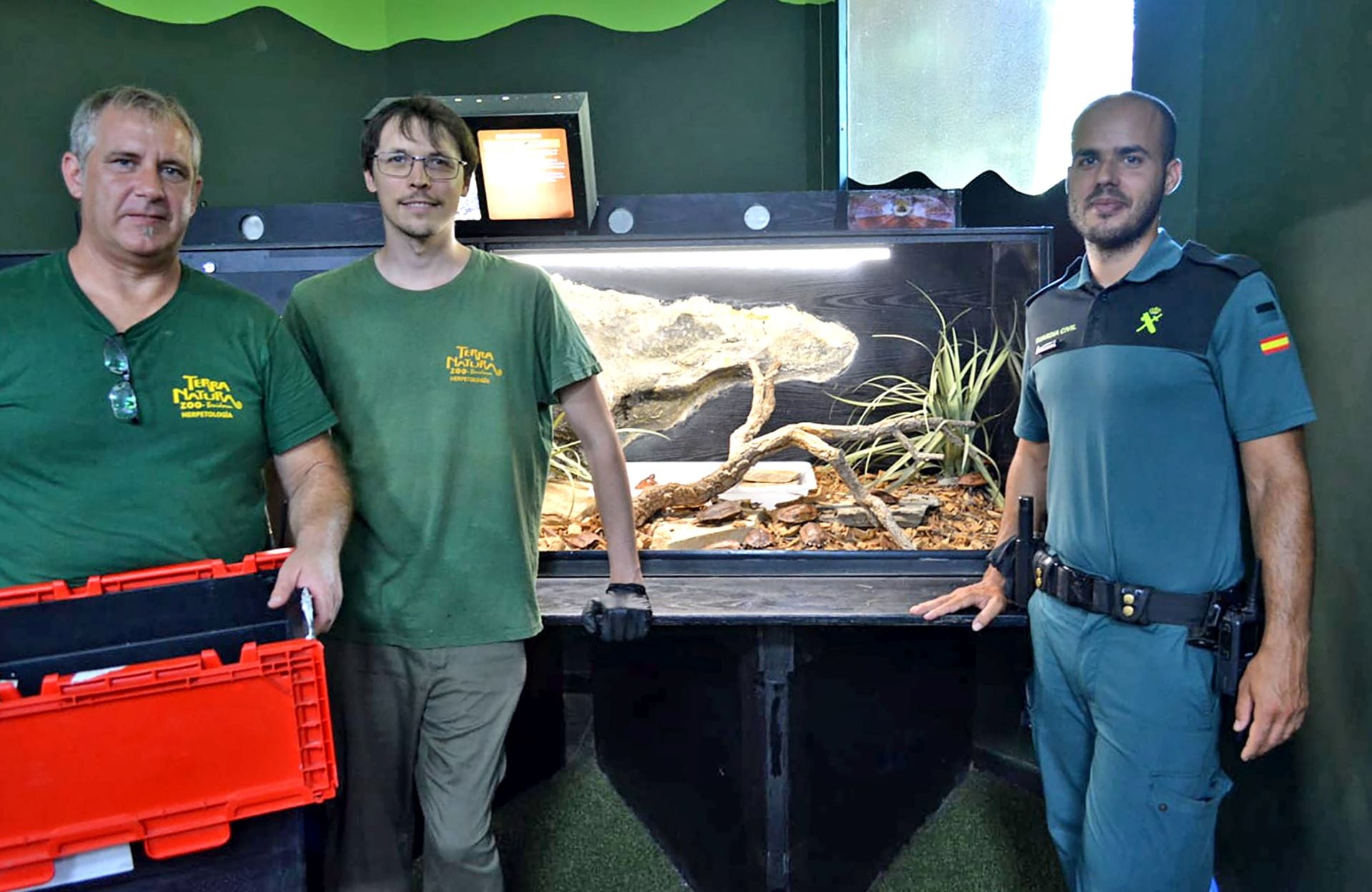 Imagen secundaria 1 - Protected Turtles Rescued from Chinese Shipment Struggle to Survive at Terra Natura Benidorm