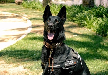 Estos son los consejos de la Policía Nacional para evitar robos este verano