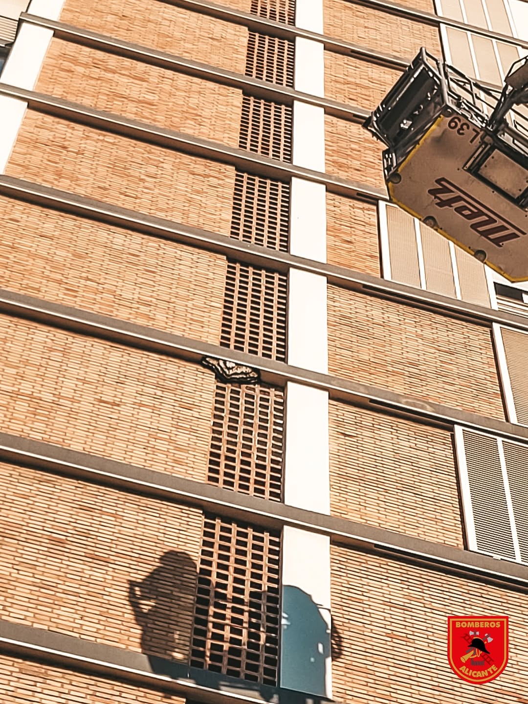 Tamaño de la colmena.