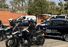 Agentes de diferentes unidades de la Policía Nacional de Elche.