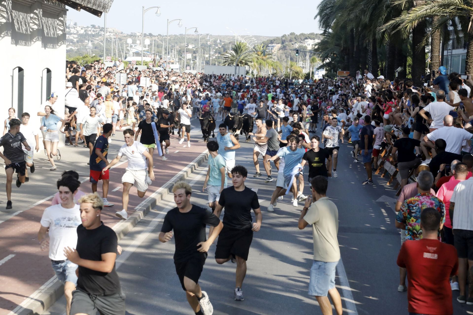 Así ha sido la entrada y primera sesión de &#039;bous a la mar&#039; en Dénia