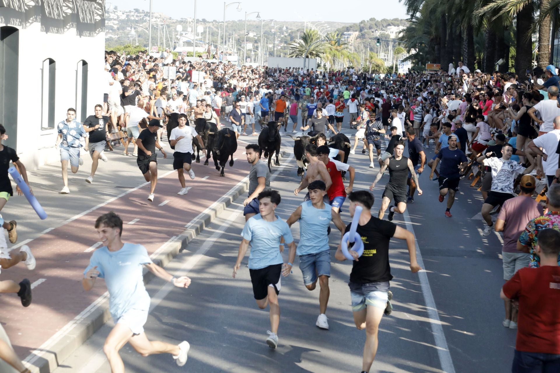 Así ha sido la entrada y primera sesión de &#039;bous a la mar&#039; en Dénia