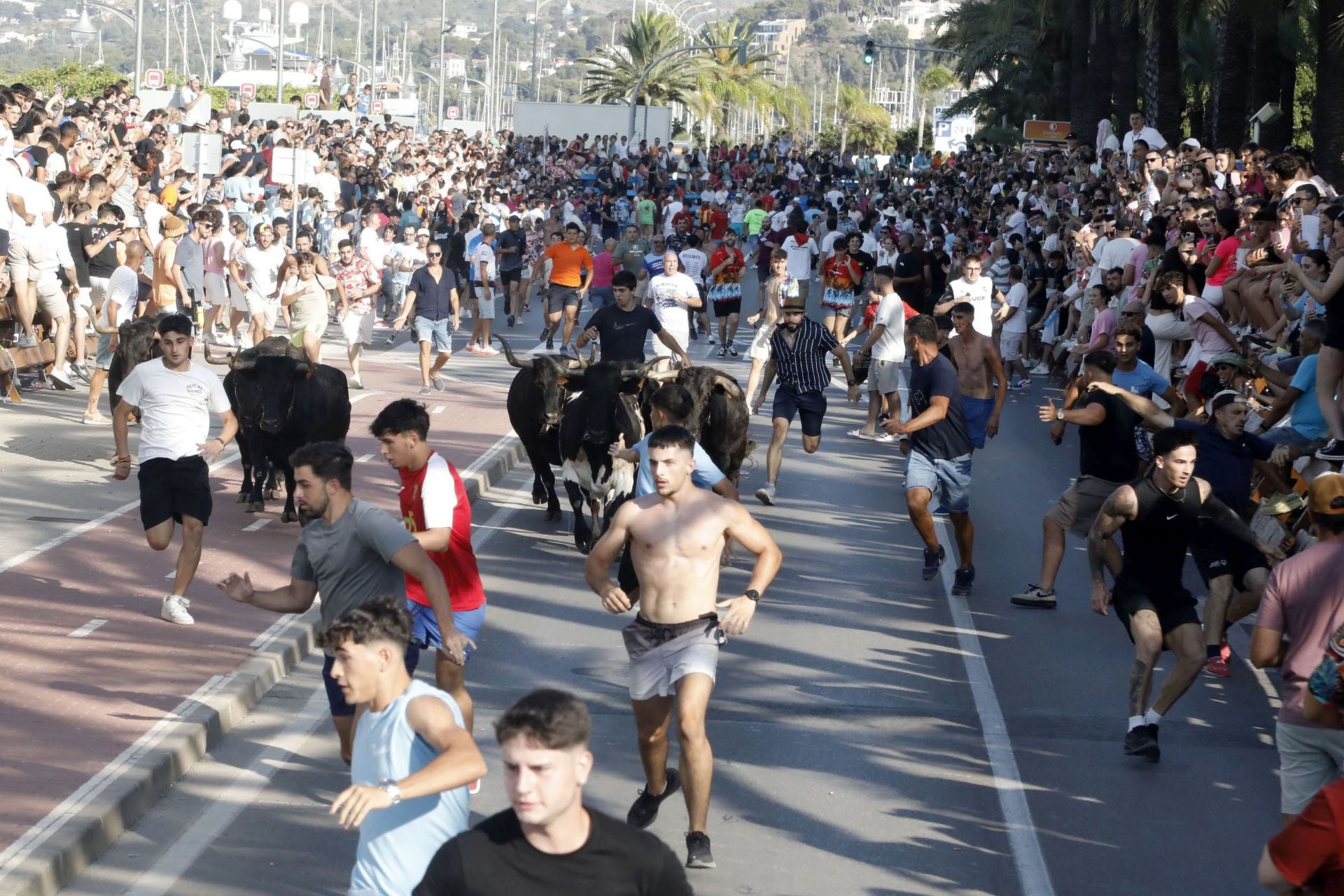 Así ha sido la entrada y primera sesión de &#039;bous a la mar&#039; en Dénia
