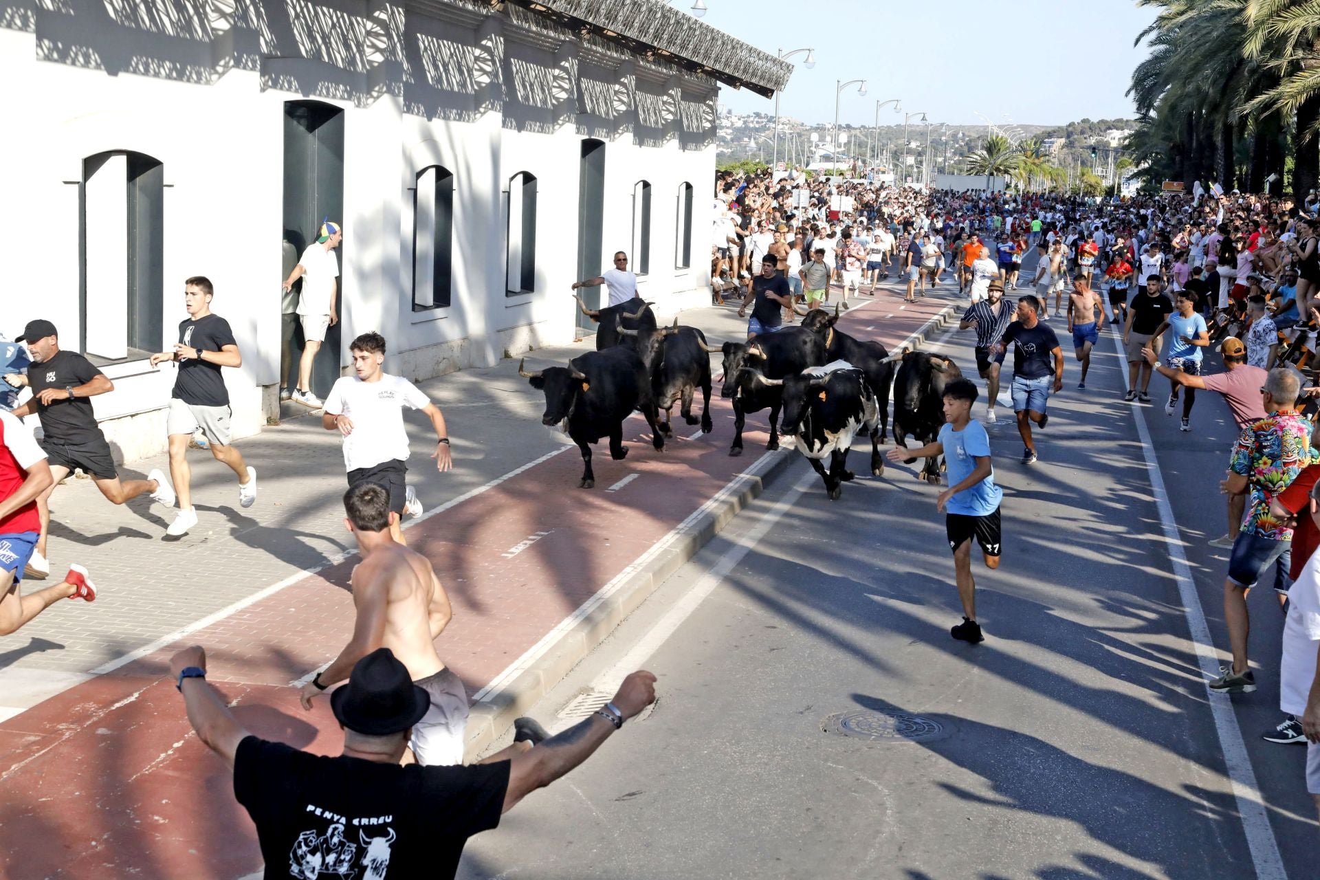 Así ha sido la entrada y primera sesión de &#039;bous a la mar&#039; en Dénia