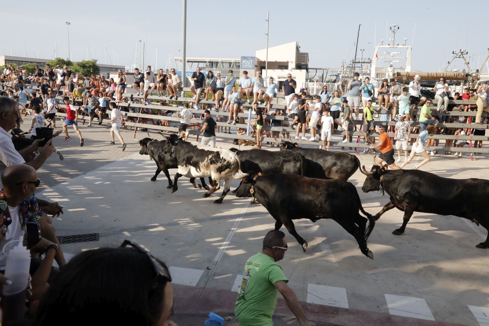 Así ha sido la entrada y primera sesión de &#039;bous a la mar&#039; en Dénia