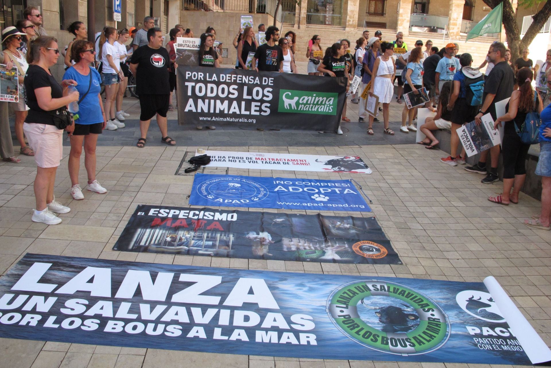 Protestas en Dénia contra els 'Bous a la mar'