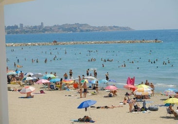 Diez líneas de autobús para visitar y redescubrir las playas de Alicante