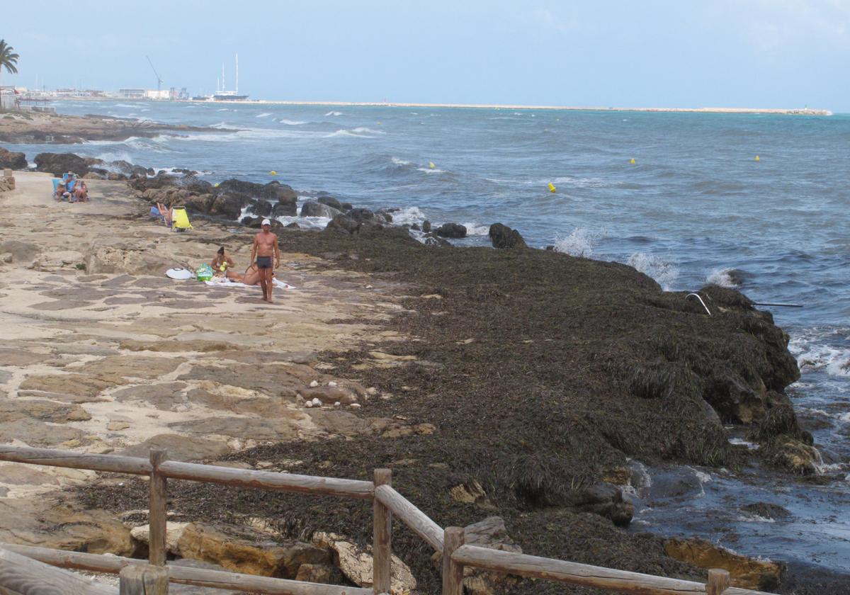 Beach in an Alicante municipality battered by the storm this week.