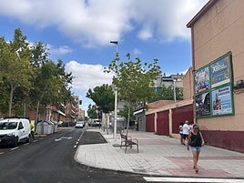 Imagen de la vía arreglada y el nuevo arbolado