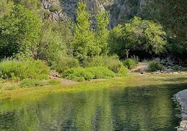 Fonts de l'Algar en Callosa d'en Sarrià.