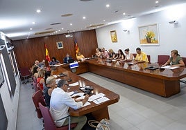 Imagen del pleno del Ayuntamiento de l'Alfàs del Pi