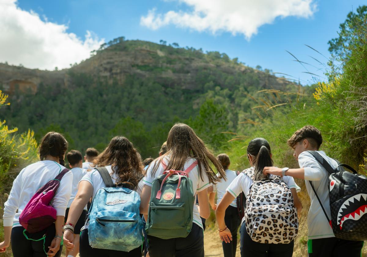 Children walking in the mountains
