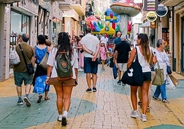 Turistas y viandantes en la 'calle de las setas'.