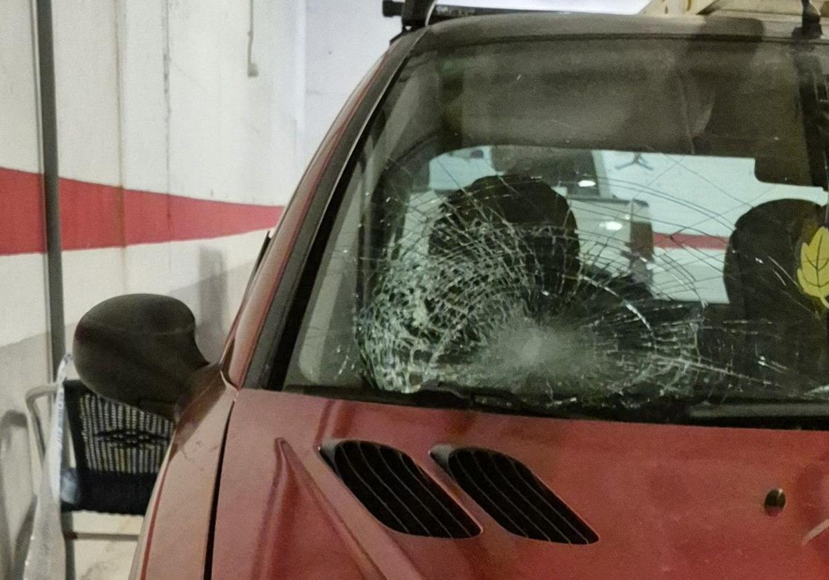Vehículo con el que se produjo el atropello