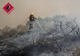 Bomberos refrescando la tierra quemada.