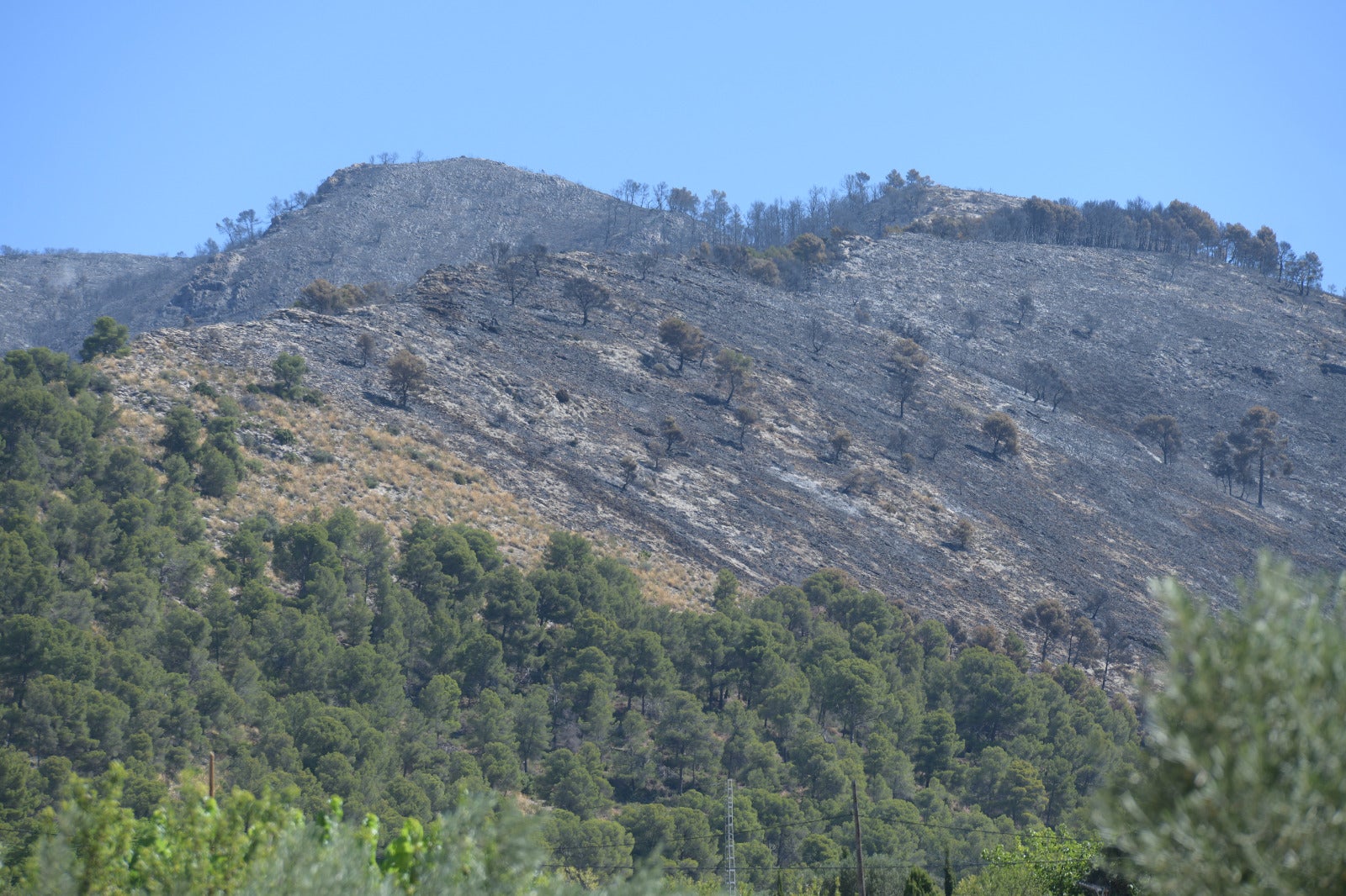 Ibi retoma la calma tras el incendio: «Nos asustamos mucho, las llamas se veían desde todo el pueblo»