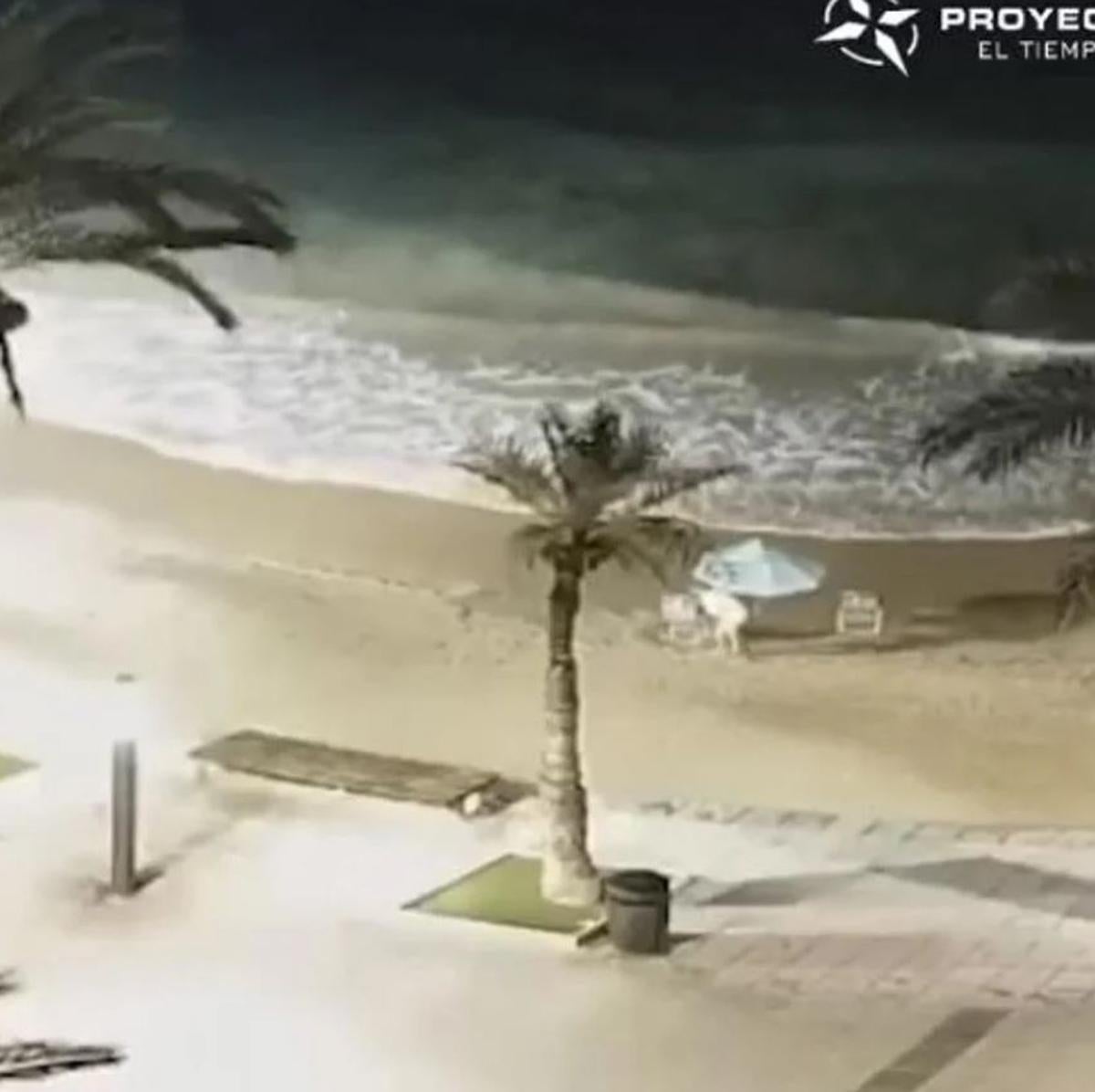 Imagen principal - Récord de un bañista en una playa de Alicante por la hora en la que pone su sombrilla: «Todavía es noche cerrada»