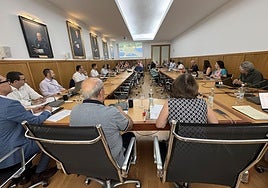 Consejo de Gobierno de la Universidad de Alicante.