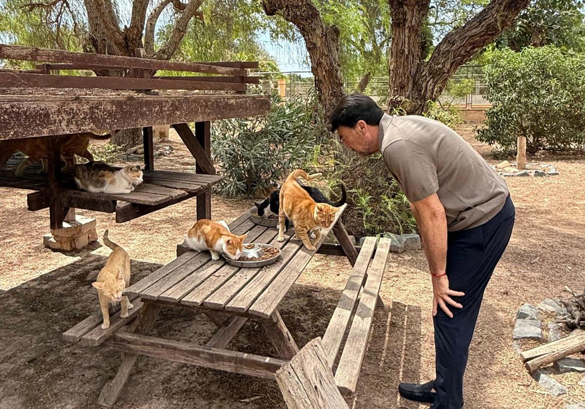 Mayor Luis Barcala with several cats from the shelter.