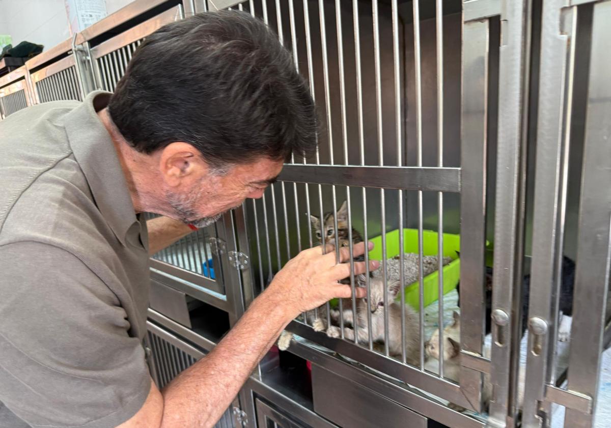 Imagen principal - El alcalde Luis Barcala con varios animales del albergue.