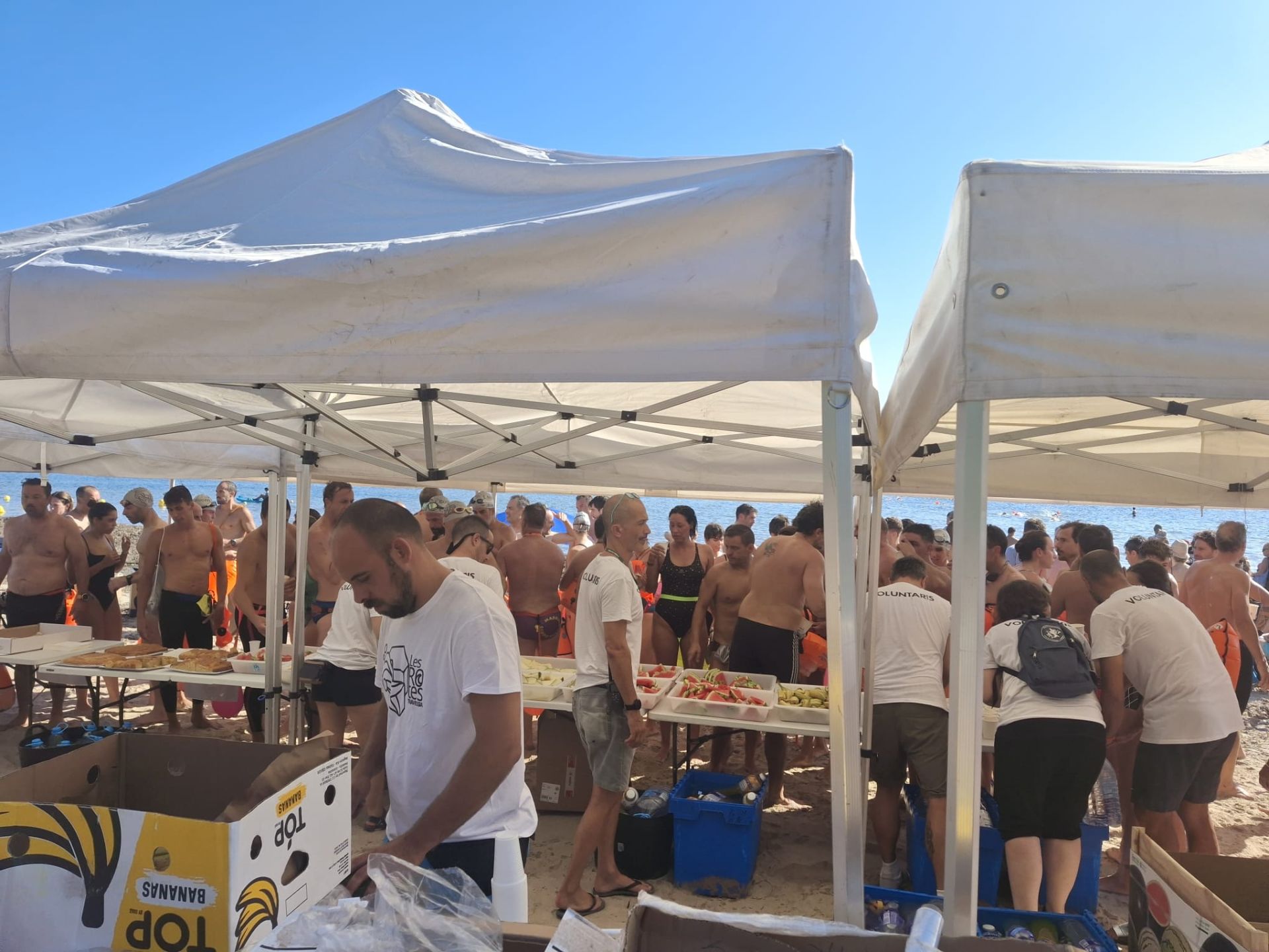 Dénia celebra la II Travessia Les Rotes con cuatro pruebas de natación en aguas abiertas