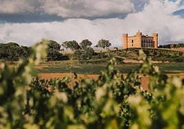 Castillo de las bodegas Monte La Reina, en Toro.