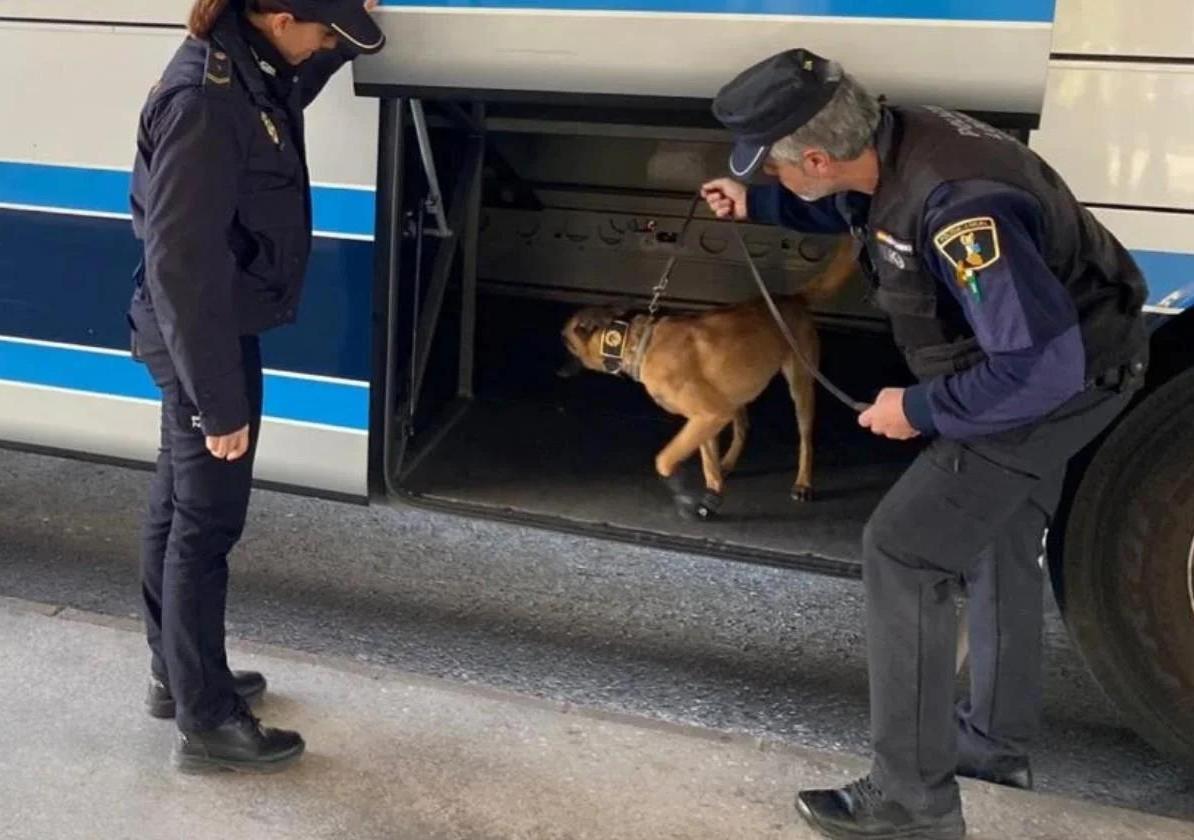 Police operation in Alicante.