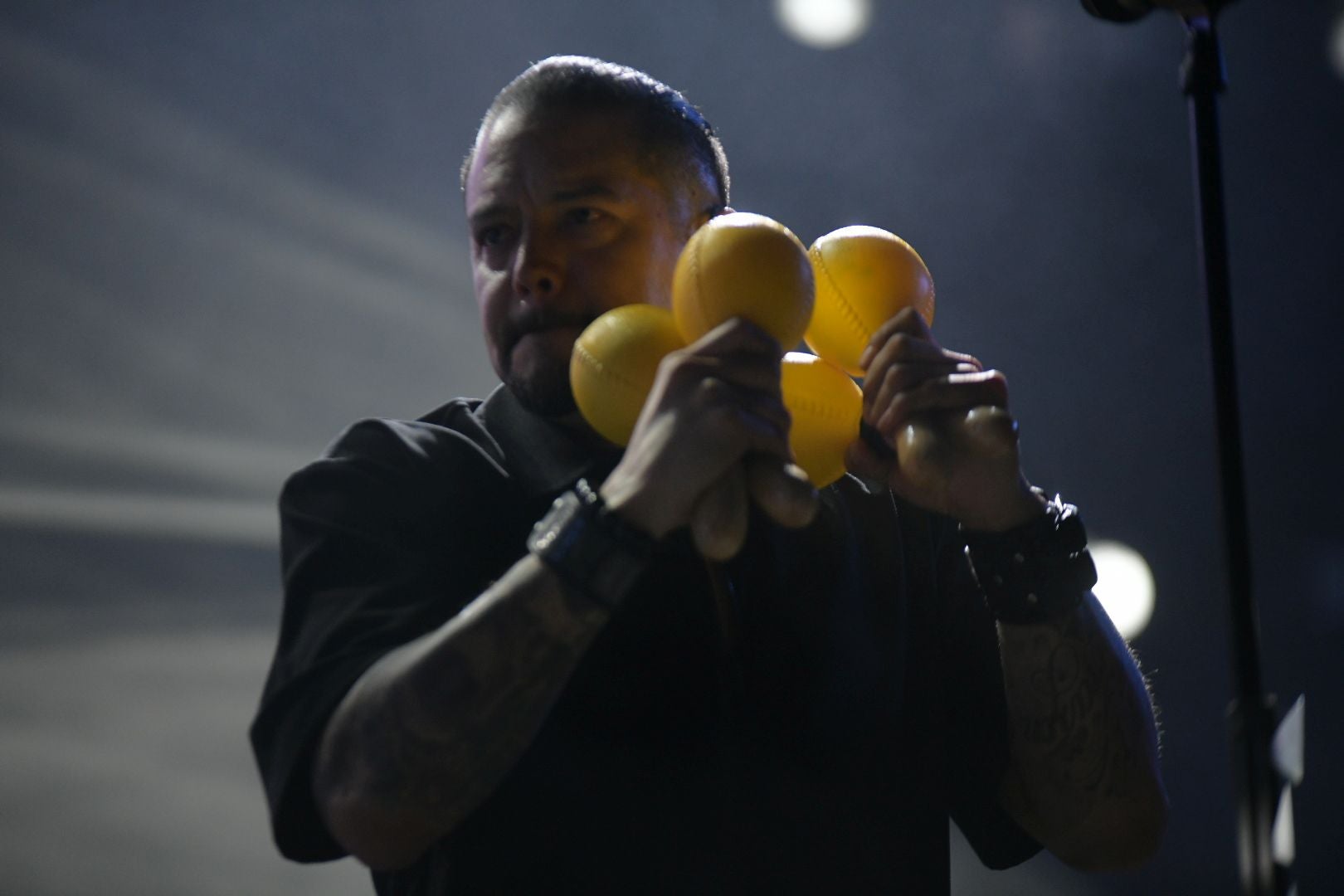 El concierto de Santana en imágenes